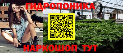 эйфоретик Моздок