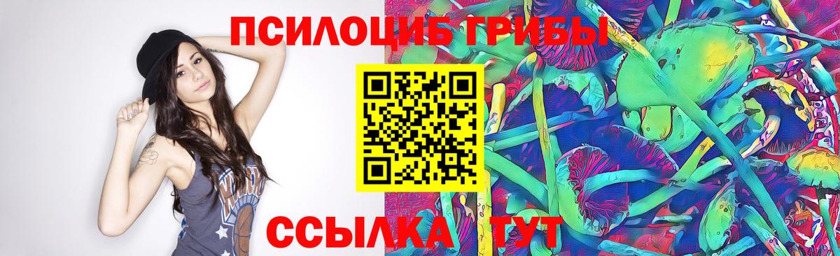 Псилоцибиновые грибы прущие грибы  Вход с VPN  где можно купить наркотик  Узловая 